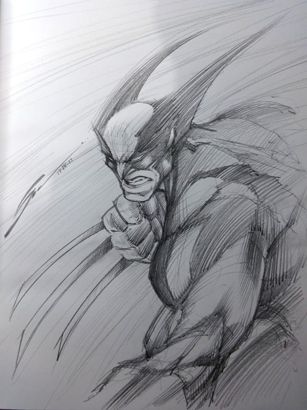 30 Wolverine Cartoon Character Sketches