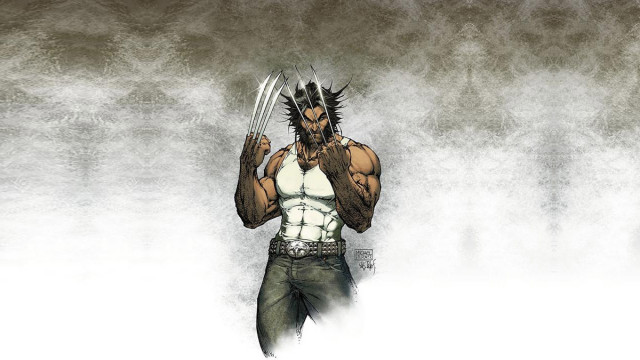 Wolverine hd wallpapers for pc (27)