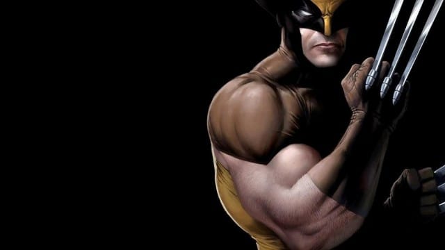 Wolverine hd wallpapers for pc (32)