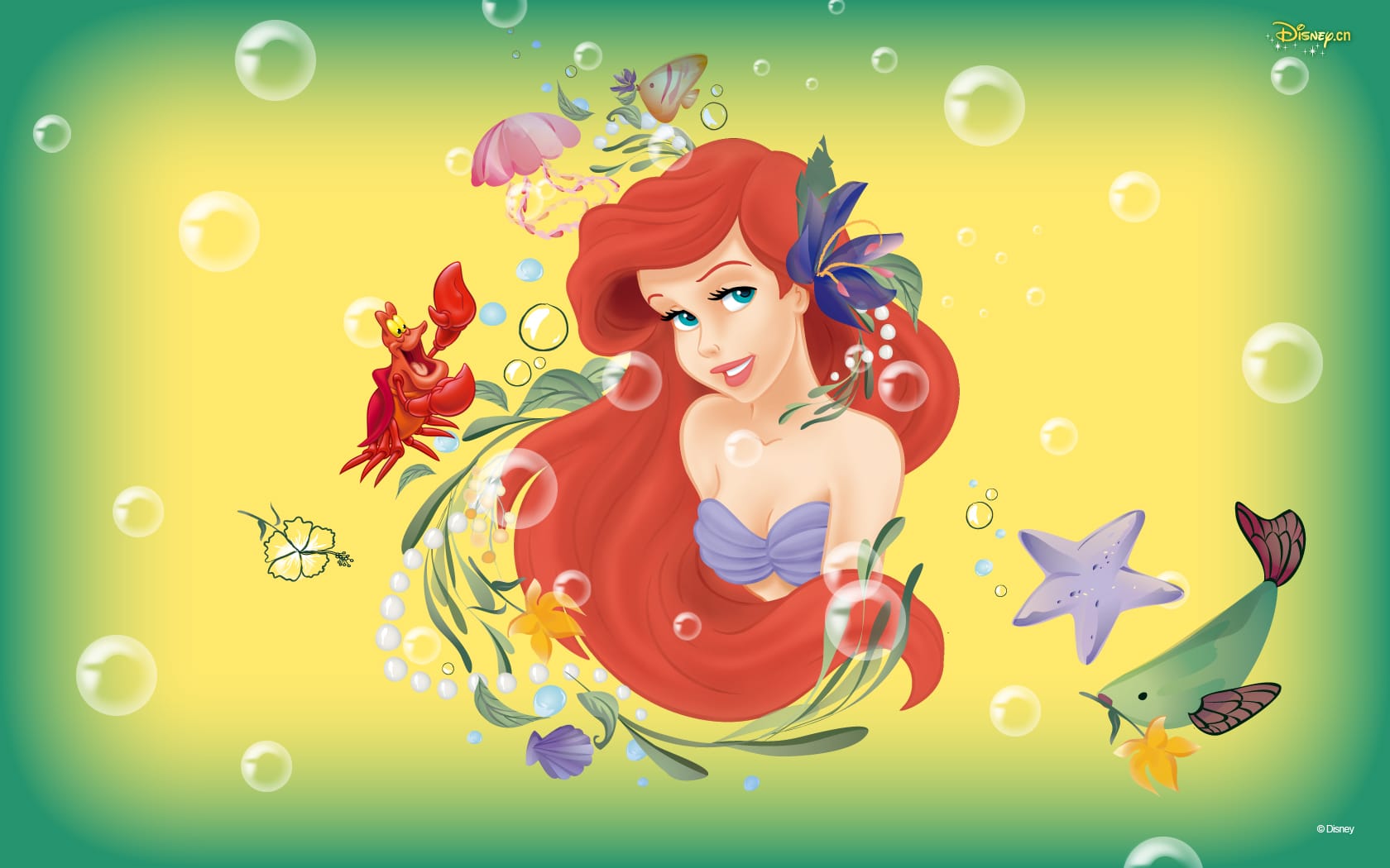 40 Cute Little Mermaid Wallpaper for Desktop