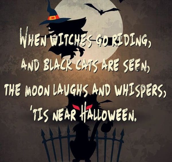 50 Funny Happy Halloween Quotes for Halloween Cards