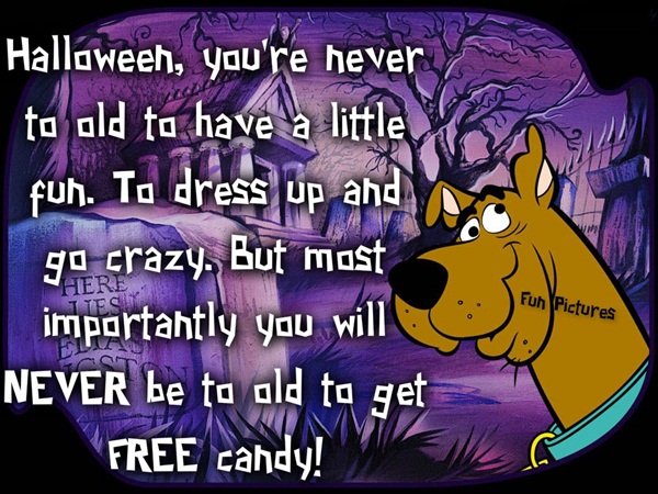 best funny halloween quotes and saying for halloween cards16-016