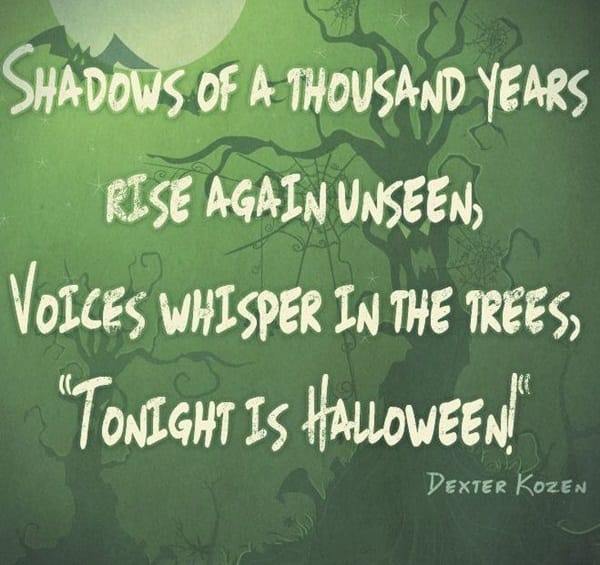 best funny halloween quotes and saying for halloween cards7-007