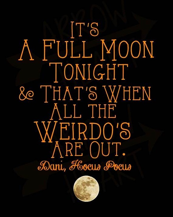 best funny halloween quotes and saying for halloween cards9-009