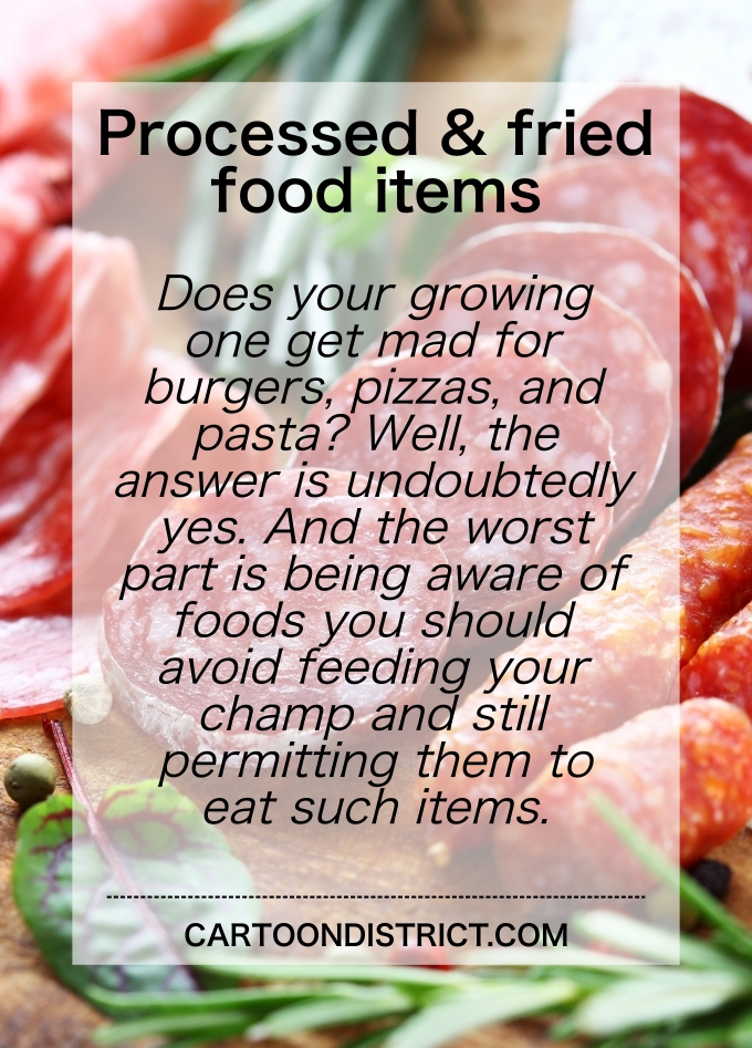 Foods You Should Avoid Feeding Your Champ